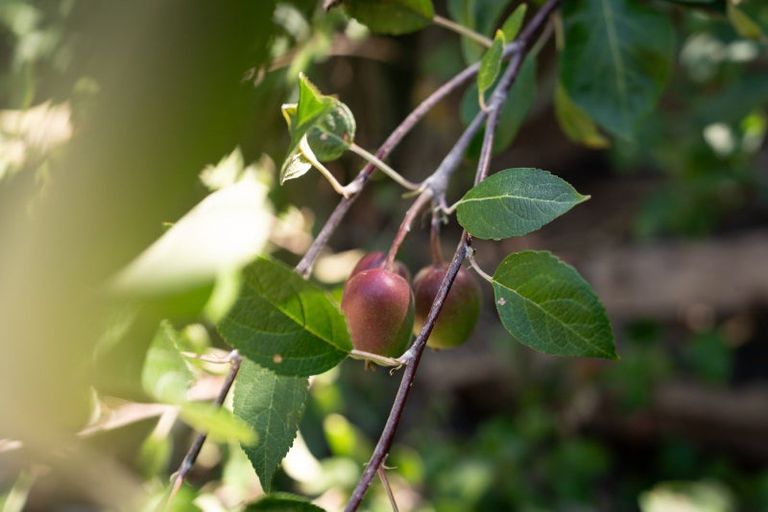 Photo of property in 166 Owen Street, Newtown, Wellington, 6021