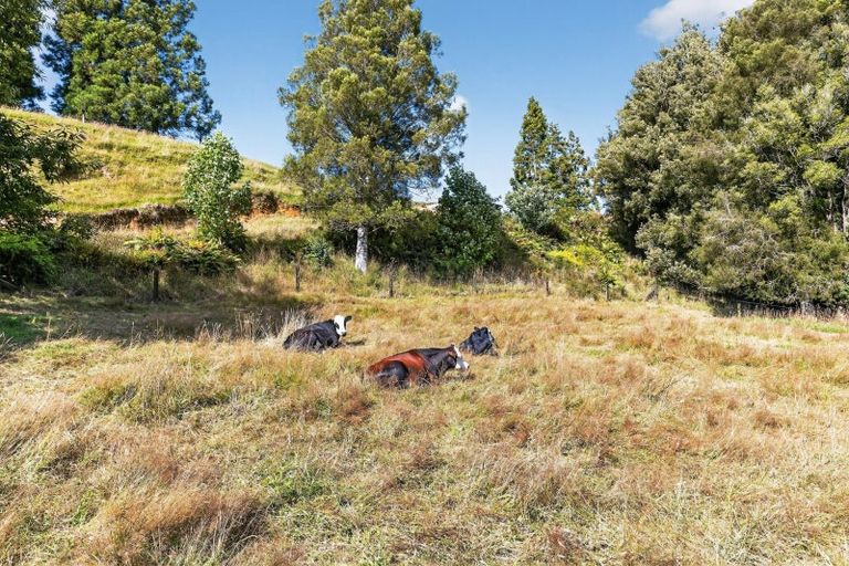 Photo of property in 118 Mcphail Road, Oropi, Tauranga, 3173