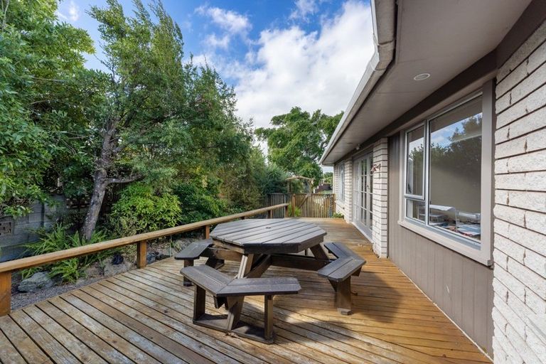 Photo of property in 19 Mudgway Place, Awapuni, Palmerston North, 4412