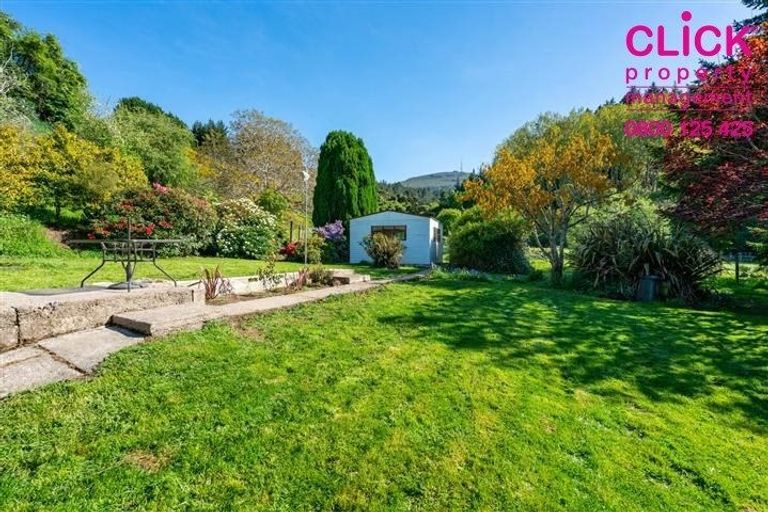 Photo of property in 187 Norwood Street, Normanby, Dunedin, 9010