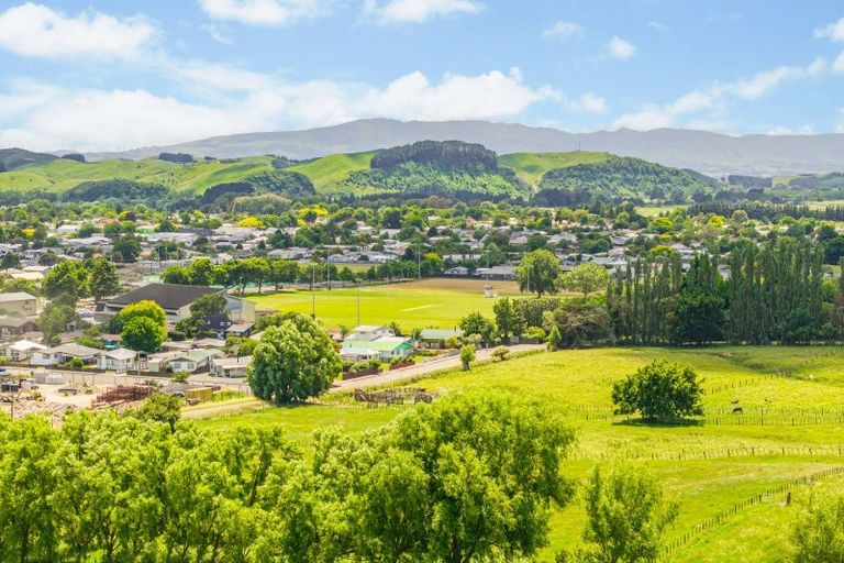 Photo of property in 41 Tiraumea Road, Pahiatua, 4981