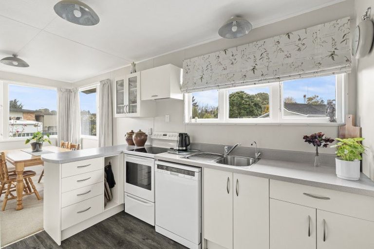 Photo of property in 117 Pukepapa Road, Marton, 4710