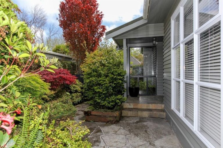 Photo of property in 29 Rogan Street, New Plymouth, 4310