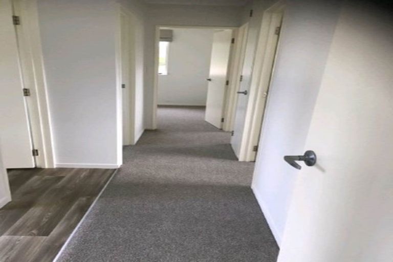 Photo of property in 7 Quail Way, Mangawhai Heads, Mangawhai, 0505