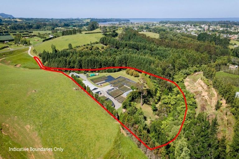 Photo of property in 67 Busby Road, Katikati, 3170