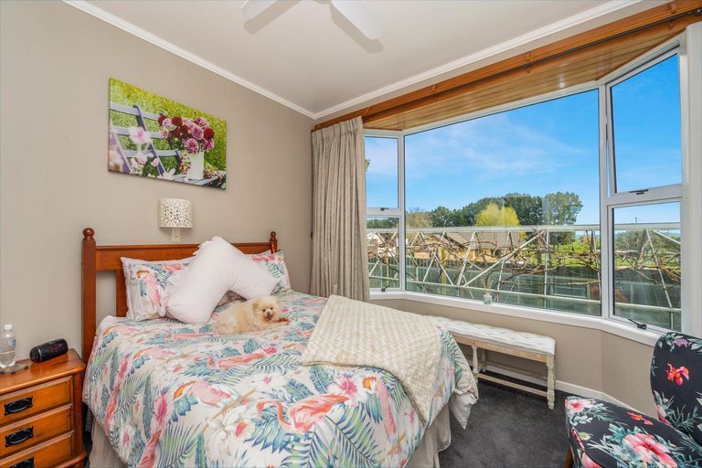 Photo of property in 97 Hangawera Road, Morrinsville, 3375