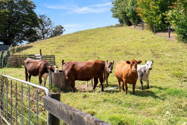 Photo of property in 442 Whananaki Road North, Opuawhanga, Hikurangi, 0181