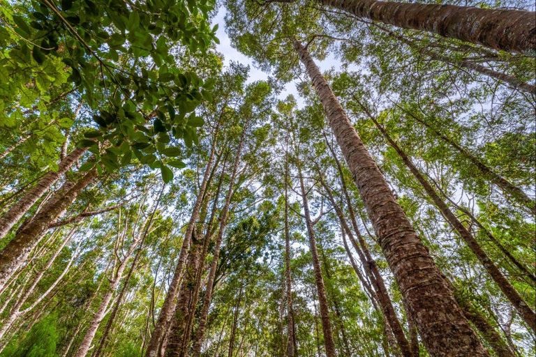 Photo of property in 138 Mahurangi West Road, Puhoi, Warkworth, 0983