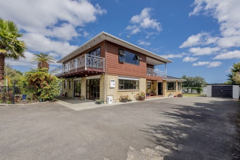Photo of property in 41 The Avenue, Levin, 5510