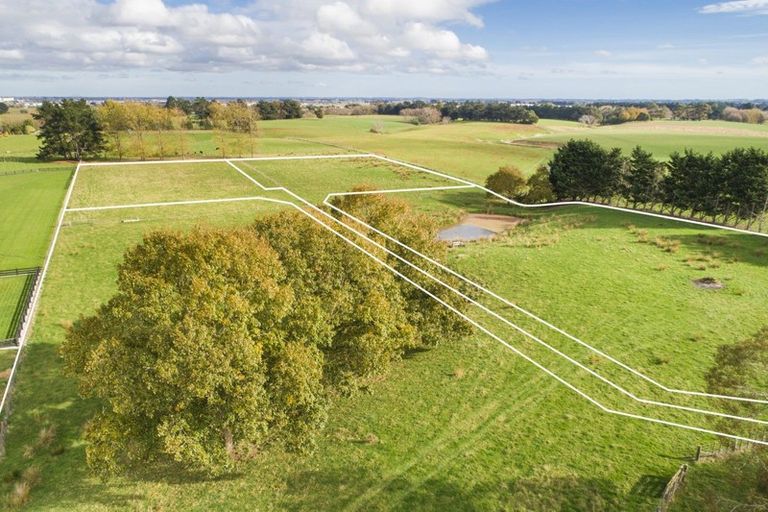 Photo of property in 197 Tutaki Road, Kelvin Grove, Palmerston North, 4470