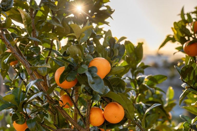 Photo of property in 5 Flight Valley Way, Welcome Bay, Tauranga, 3175