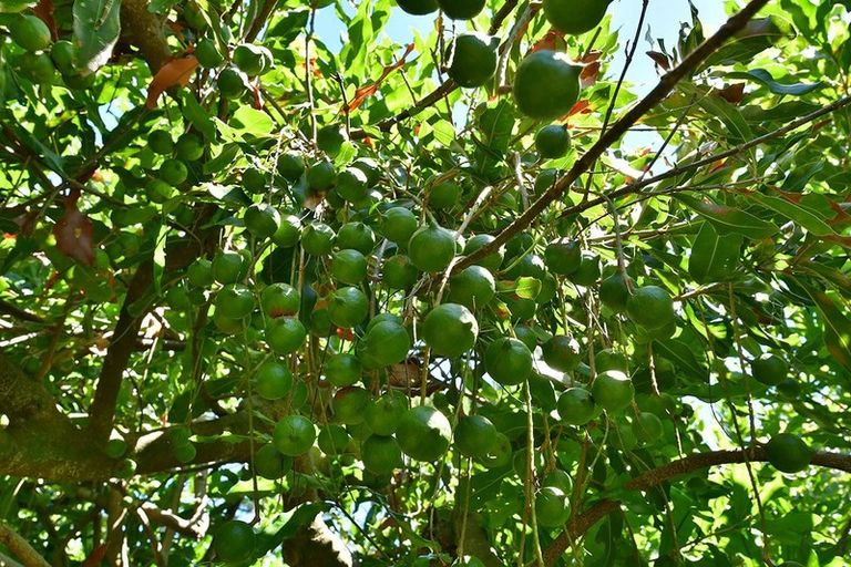 Photo of property in 940 South Head Road, South Head, Helensville, 0874