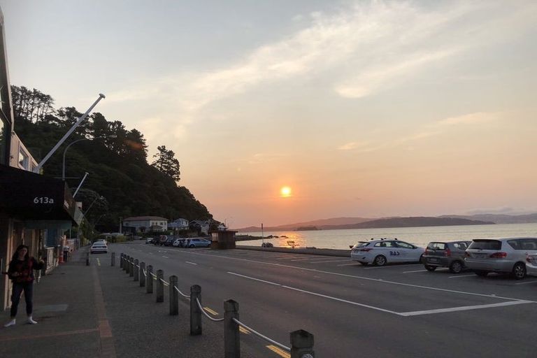 Photo of property in 616a Marine Drive, Days Bay, Lower Hutt, 5013