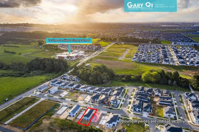 Photo of property in 62 Rashni Road, Flat Bush, Auckland, 2019