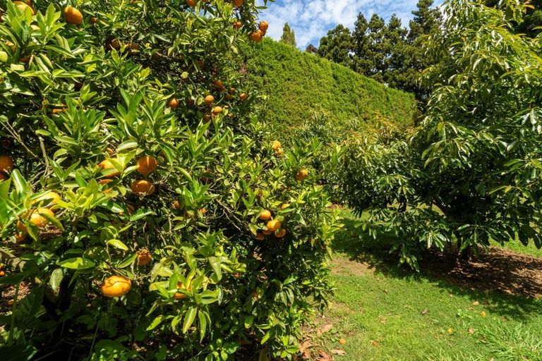 Photo of property in 69 Francis Road, Whakamarama, Tauranga, 3172