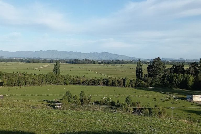 Photo of property in 719 Makino Road, Feilding, 4779