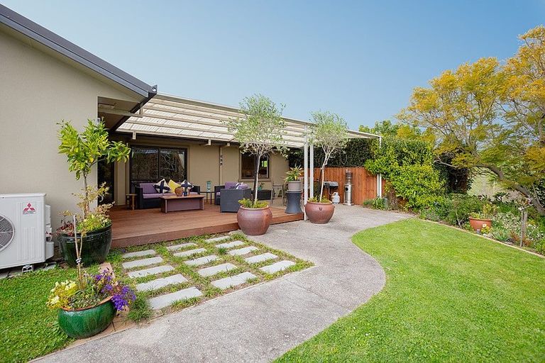 Photo of property in 199a Youngson Road, Whakamarama, Tauranga, 3179