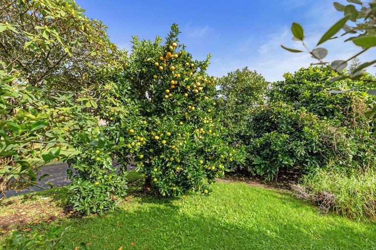 Photo of property in 29a Greerton Road, Gate Pa, Tauranga, 3112