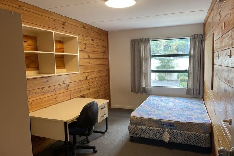 Photo of property in Te Awhina Apartments, 27/22 Sussex Street, Mount Cook, Wellington, 6021