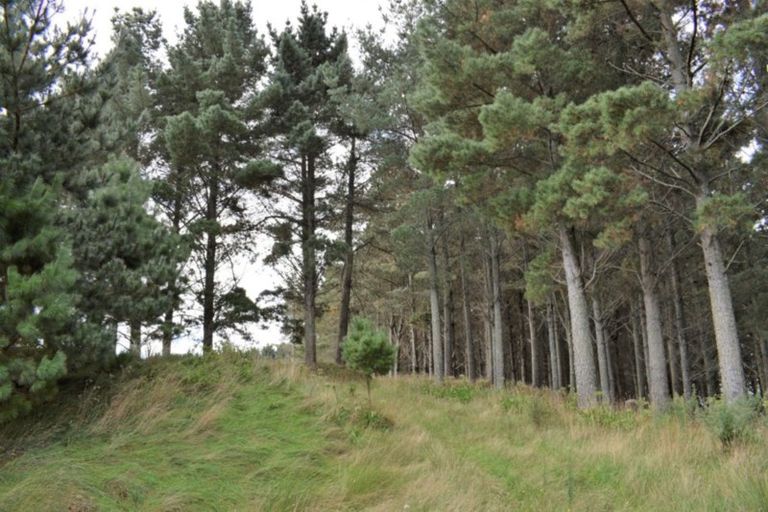 Photo of property in 101 Emma Drive, Manakau, 5573