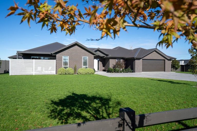 Photo of property in 20 Recite Avenue, Leamington, Cambridge, 3432