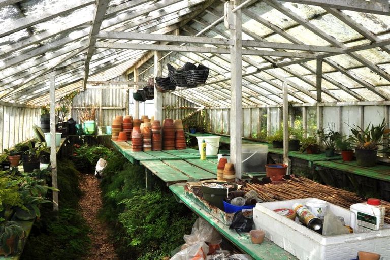 Photo of property in 244 Matakohe West Road, Matakohe, 0594