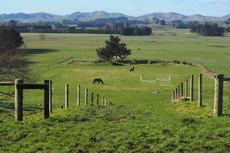 Photo of property in 319 Porangahau Road, Waipukurau, 4282