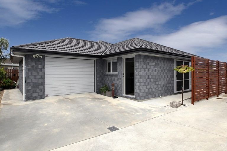 Photo of property in 203 Hapuka Street, Frimley, Hastings, 4120