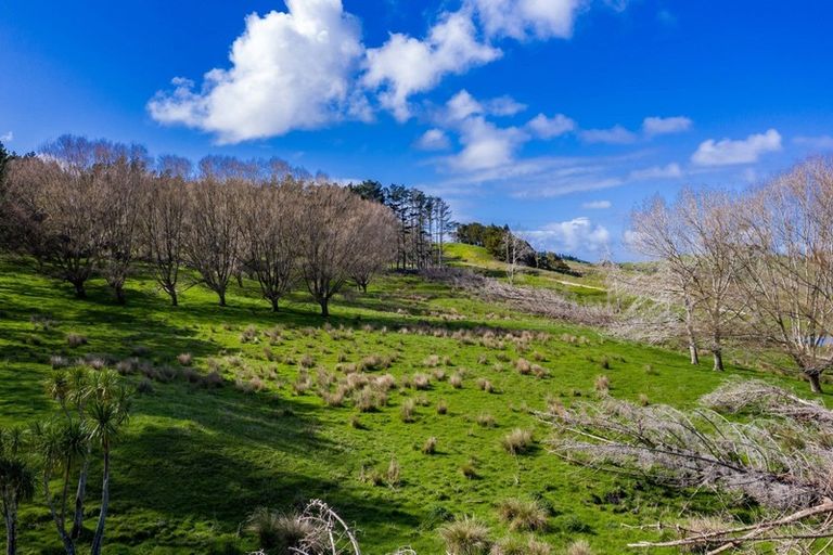 Photo of property in 16 Otara Road, Kaiwaka, 0573