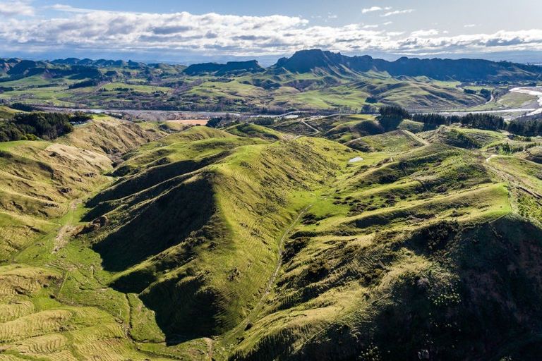 Photo of property in 599 Waimarama Road, Tuki Tuki, 4294