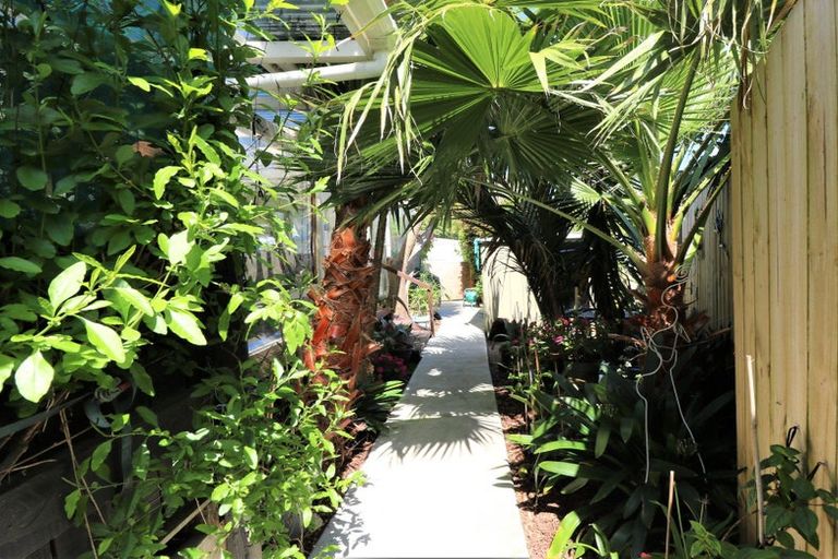 Photo of property in 13 Marlin Place, Whiritoa, Whangamata, 3691