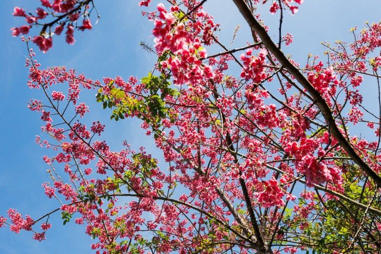 Photo of property in 946f Finnis Road, Pohangina, Ashhurst, 4884