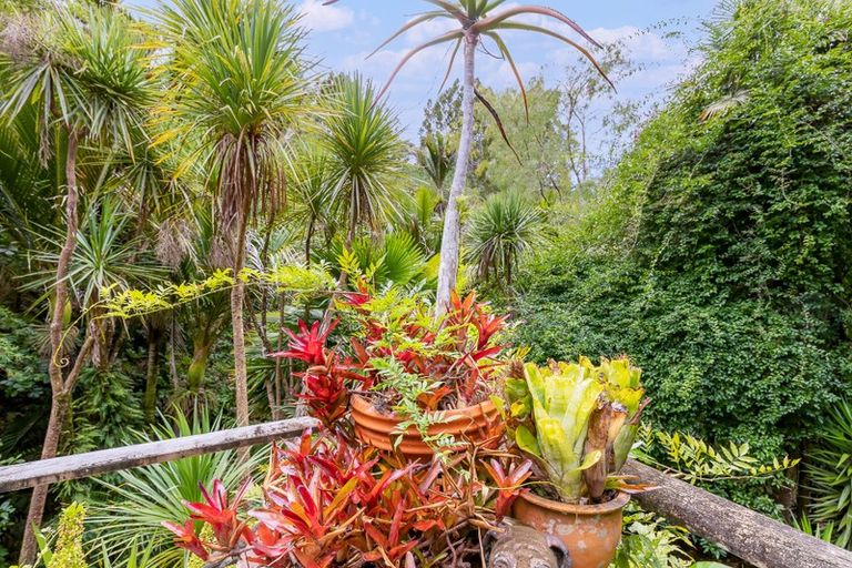 Photo of property in 54 Mahoe Road, Titirangi, Auckland, 0604