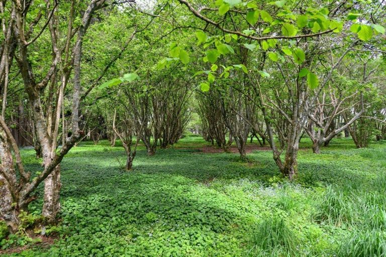 Photo of property in 803f Bruntwood Road, Tamahere, Hamilton, 3283