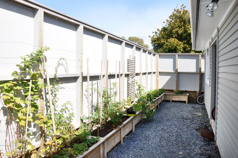 Photo of property in 23 Cumberland Street, Leigh, 0985