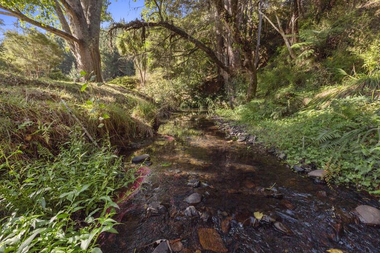 Photo of property in 76 Elgood Road, Glen Massey, Ngaruawahia, 3793