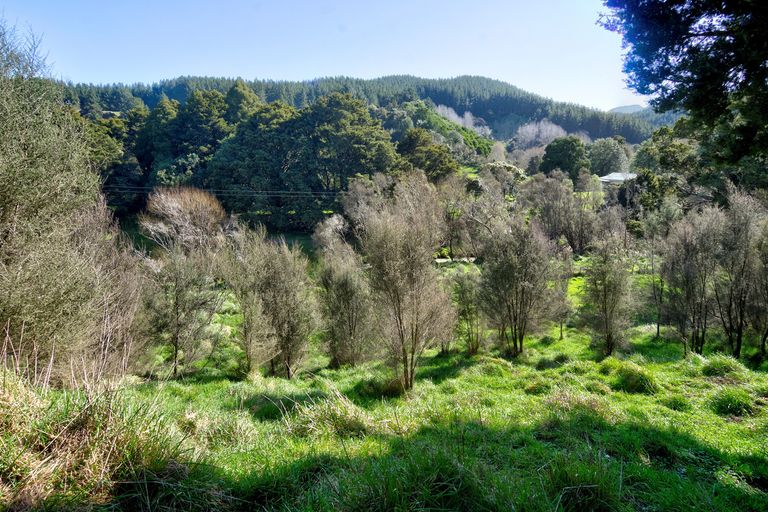 Photo of property in 3896 Ngahape Road, Ngahape, Masterton, 5890