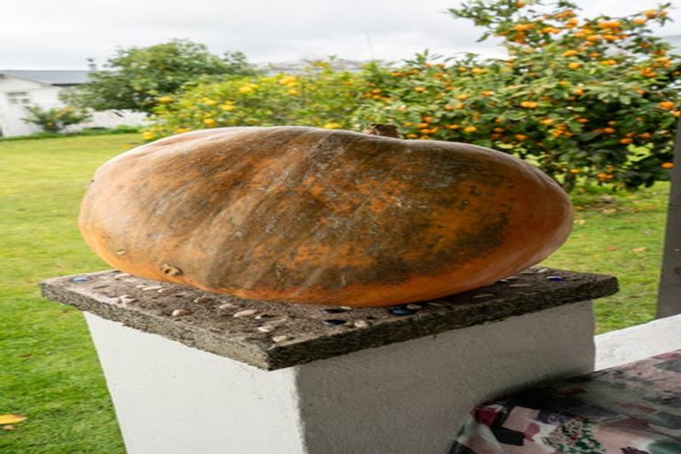 Photo of property in 15 Arnold Street, Leamington, Cambridge, 3432