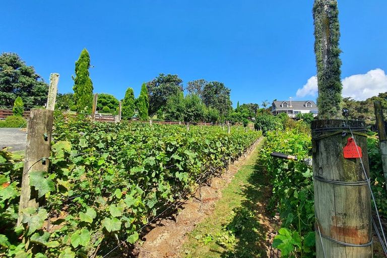 Photo of property in 76 Brick Bay Drive, Sandspit, Warkworth, 0982