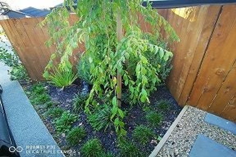 Photo of property in 2 Hikuwai Lane, Warkworth, 0910