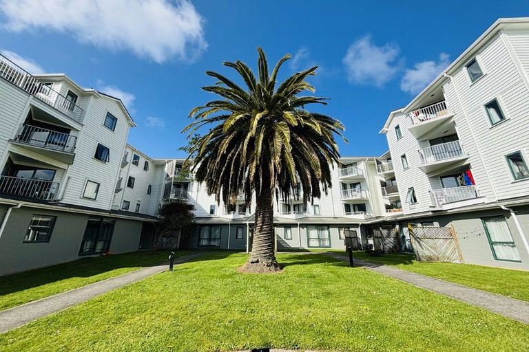 Photo of property in Palm Grove Apartments, 6/13a Palm Grove, Berhampore, Wellington, 6023