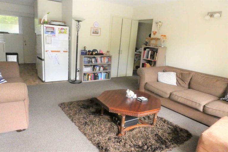 Photo of property in 50a Champion Street, Edgeware, Christchurch, 8013