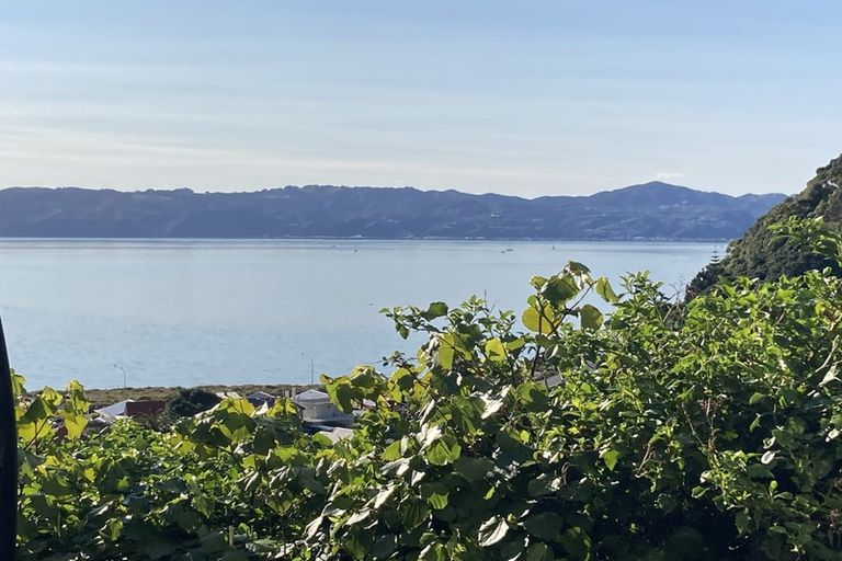 Photo of property in 10 Matai Terrace, Eastbourne, Lower Hutt, 5013