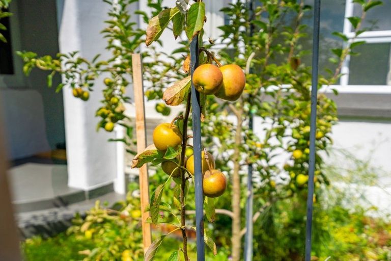 Photo of property in 19 Lewis Street, Gladstone, Invercargill, 9810