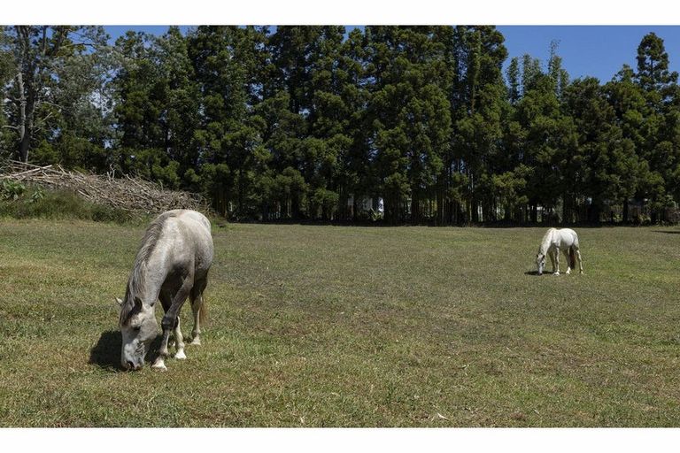 Photo of property in 41 Te Ra Road, Kaeo, Kerikeri, 0295