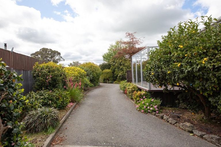 Photo of property in 197 Bridge Street, Bulls, 4818