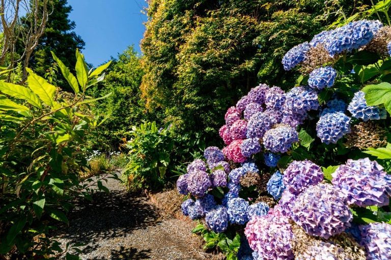 Photo of property in 70 Tanner Road, Glenleith, Dunedin, 9010