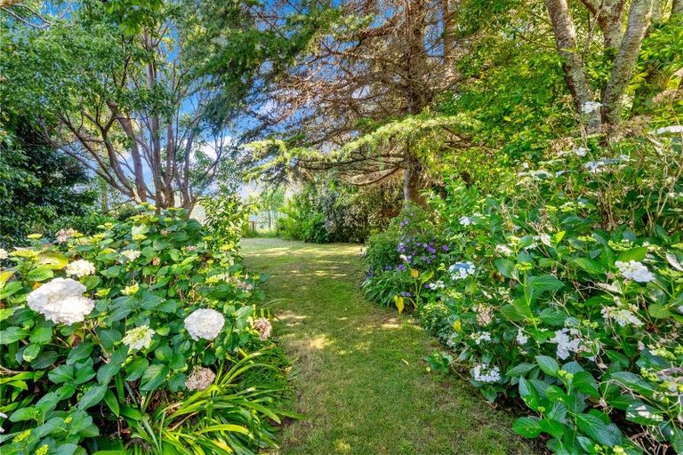 Photo of property in 119 Shelly Beach Road, Shelly Beach, Helensville, 0874