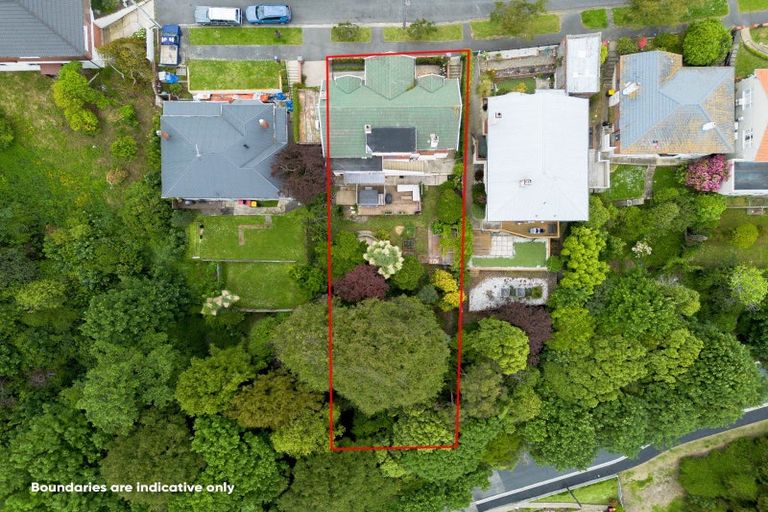 Photo of property in 20 Mcgeorge Avenue, Mornington, Dunedin, 9011