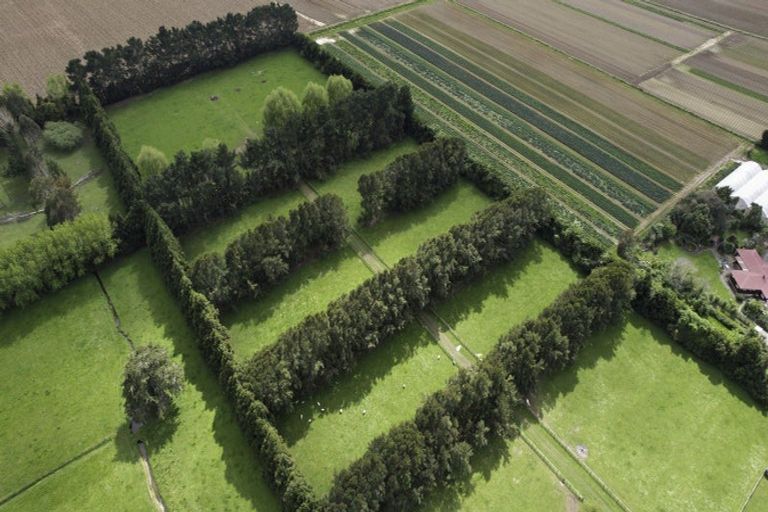 Photo of property in 222 Bruce Road, Levin, 5510